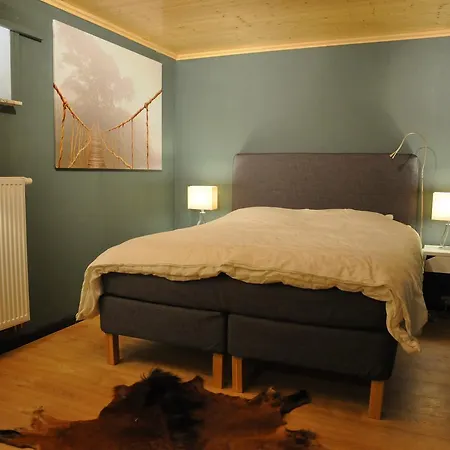 Vakantiehuis Chalet D'amis